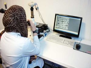 آزمایشگاه متالوگرافی و ماکروگرافی: تحلیل دقیق مواد فلزی